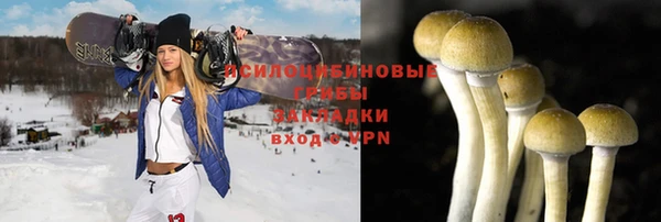 прущий лед Алексеевка