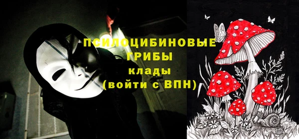 спайс Алексин