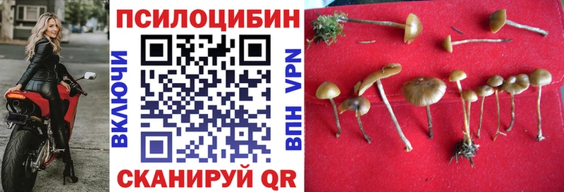 Псилоцибиновые грибы мицелий  купить наркотики цена  Берёзовский 